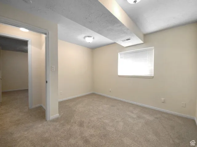 Previous picture Neutral-toned walls, plush carpet flooring, a single window with blinds, and flush-mount ceiling lights