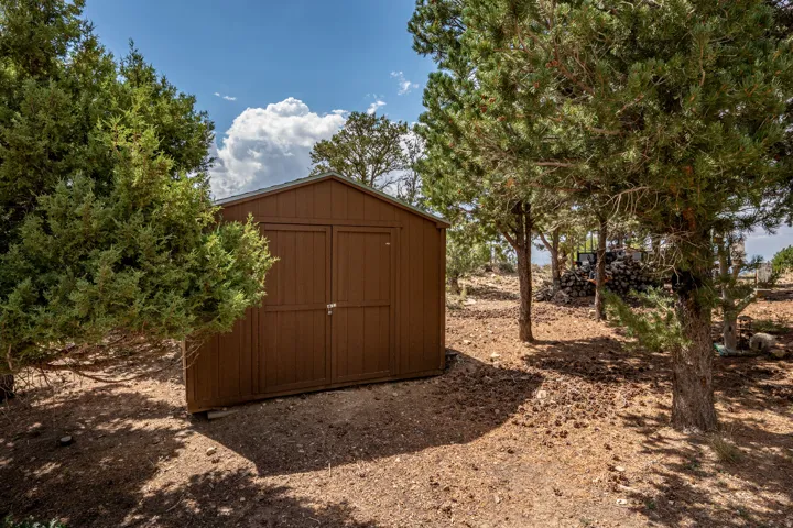 Freestanding storage shed with wood-finish siding and a gable roof