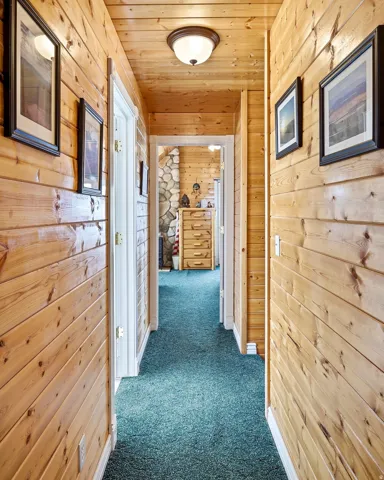 Wood-paneled hallway featuring a ceiling-mounted light fixture, white trim, and teal carpeting
