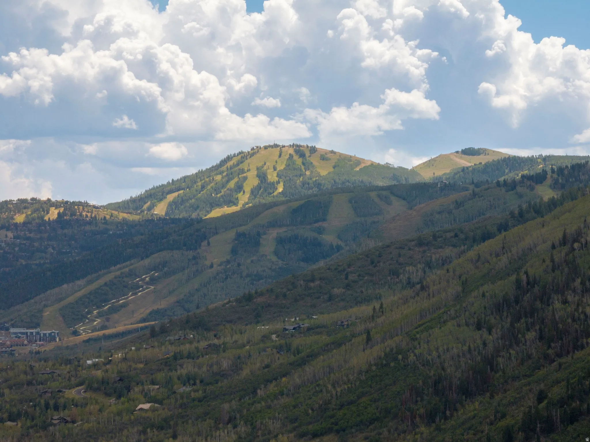 Mountainous landscape featuring extensive tree coverage and visible ski runs