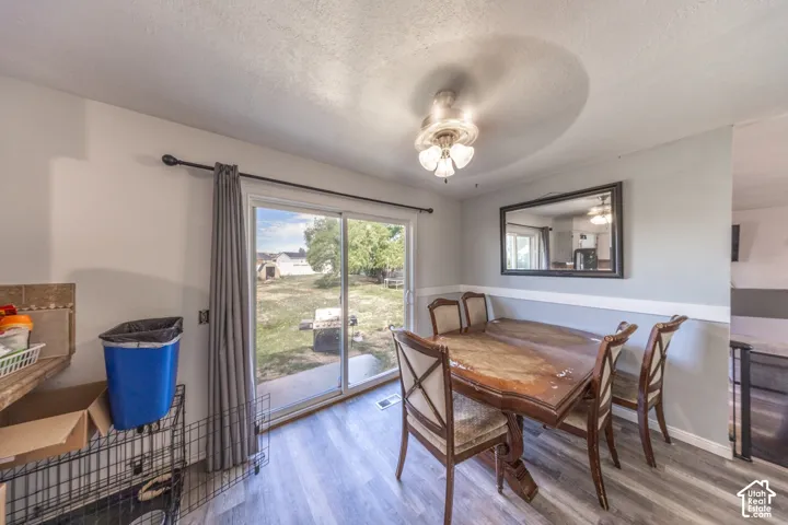 Patio access via sliding glass door, wood-finish flooring, two-tone wall treatment, and a ceiling-mounted light fixture