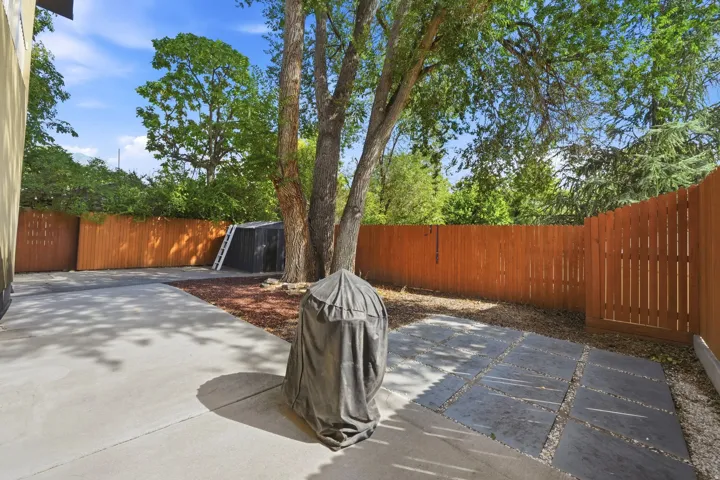 Spacious concrete patio with large mature trees, a wood-paneled fence, and a stone paver pathway