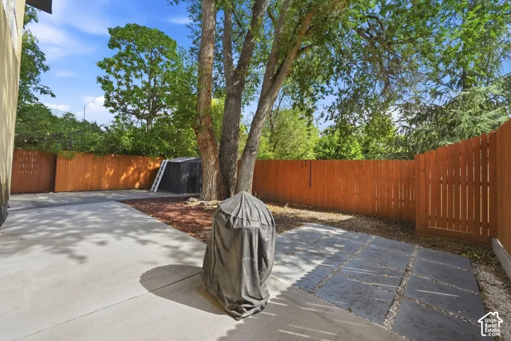 Spacious concrete patio with large mature trees, a wood-paneled fence, and a stone paver pathway