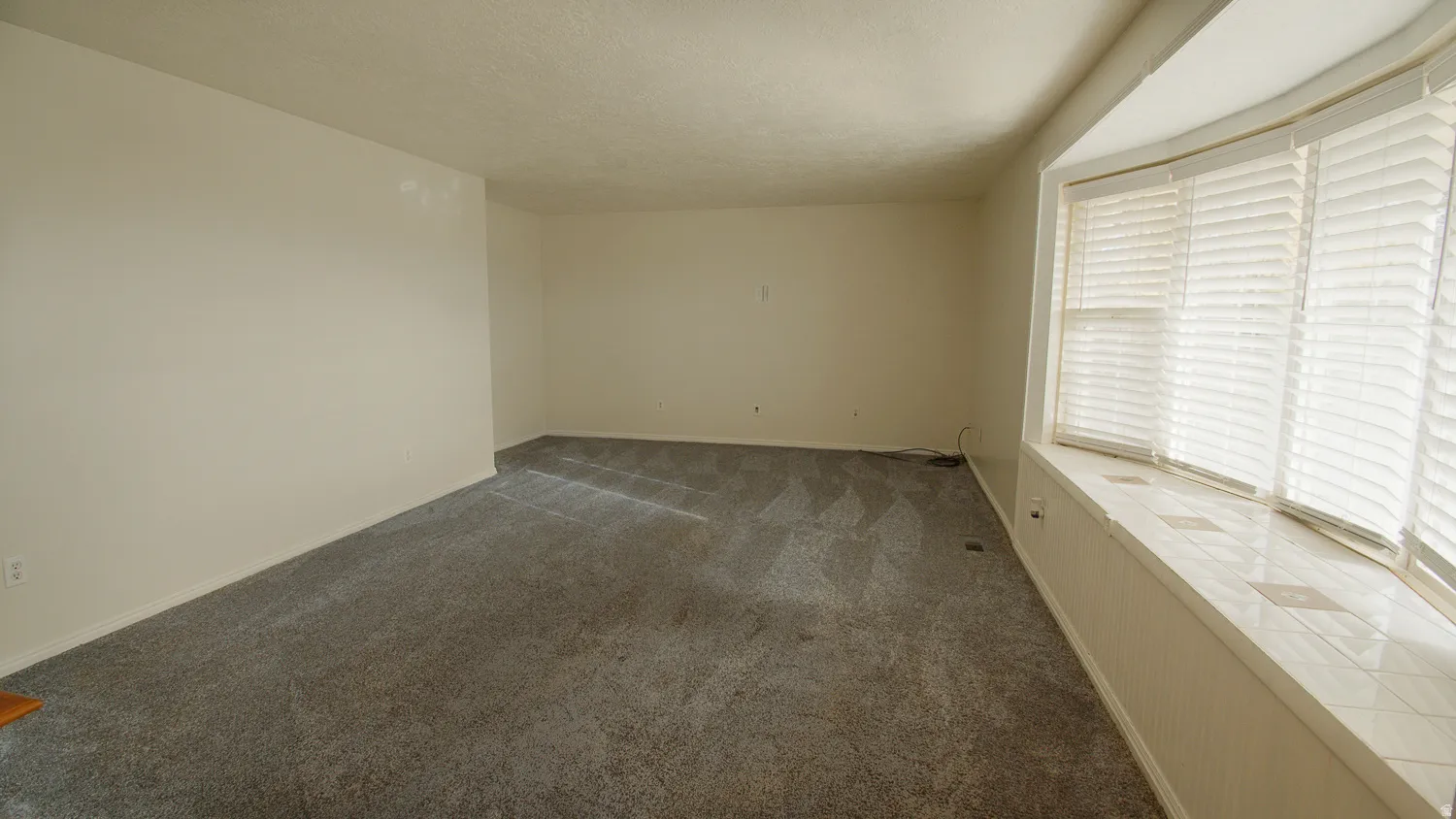 Spacious room with neutral wall finishes, carpet flooring, and abundant natural light from large window with plantation shutters