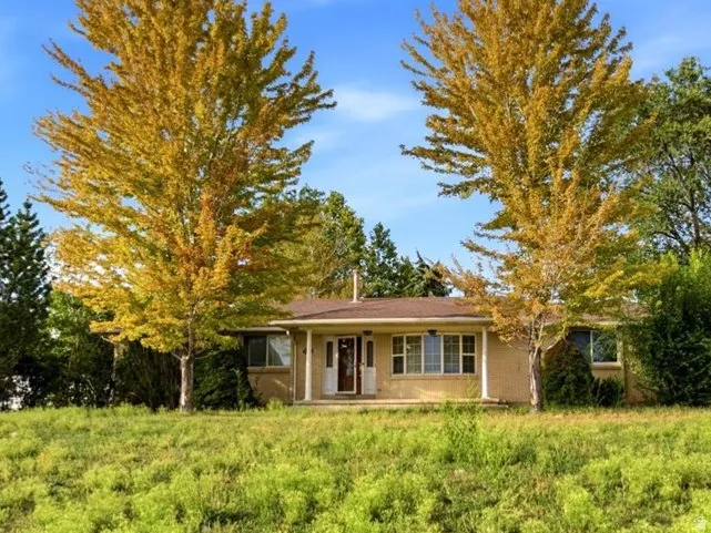 Brick residence situated on expansive grounds featuring mature landscaping with golden larch trees and established hardwoods