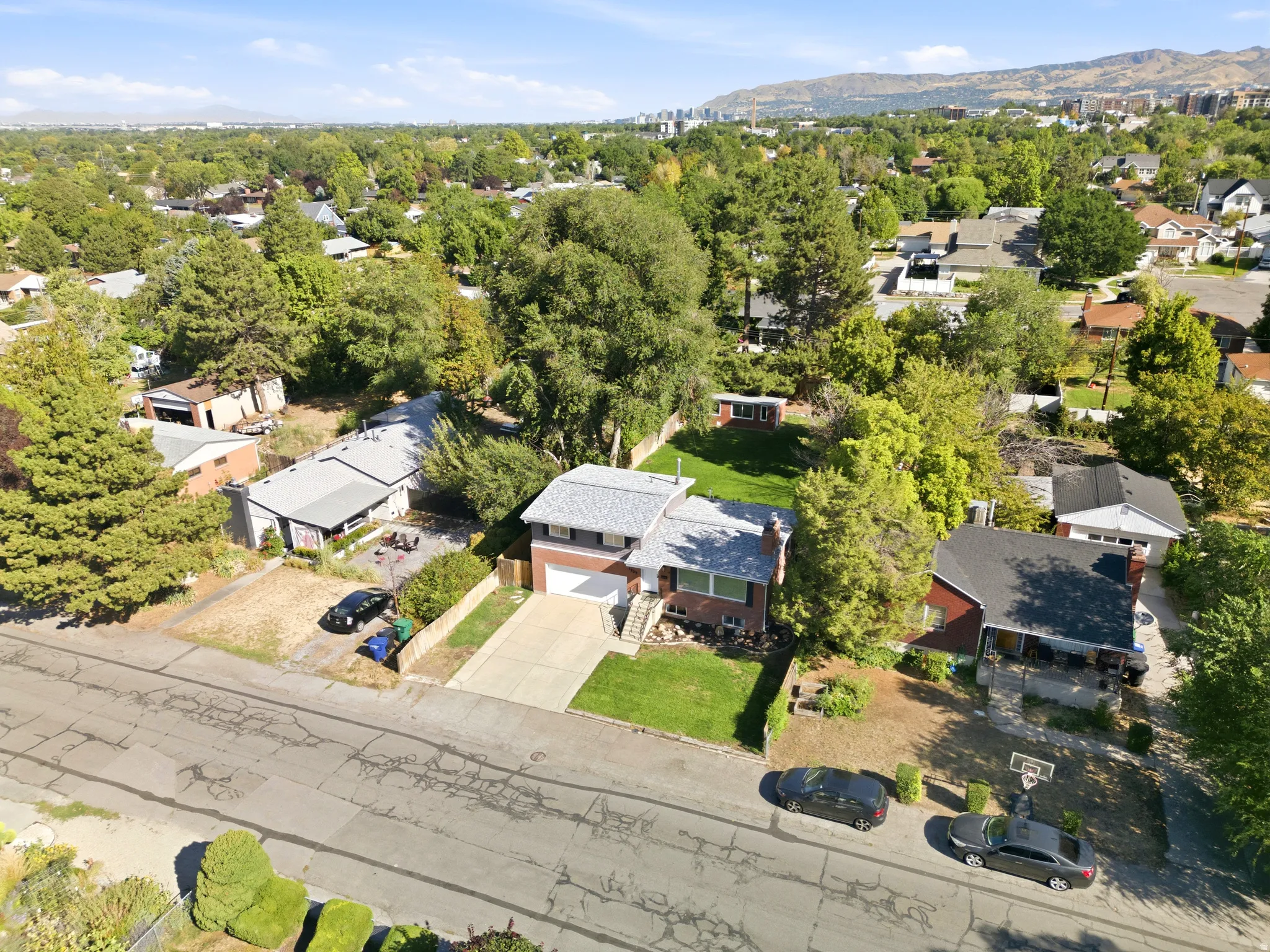 Established neighborhood setting with mature trees and a residential backdrop