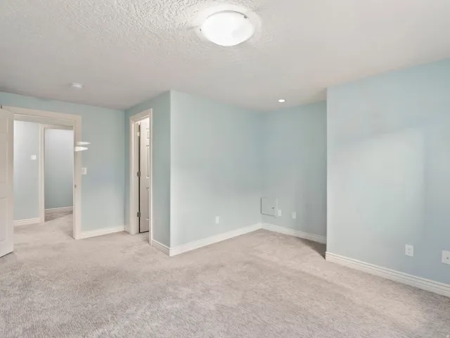 Plush carpet flooring, recessed lighting, and white trim work