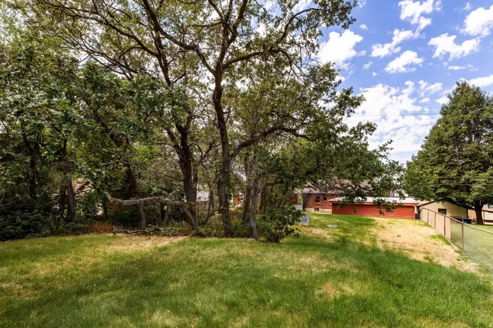 Expansive grassy area with mature trees and perimeter fencing