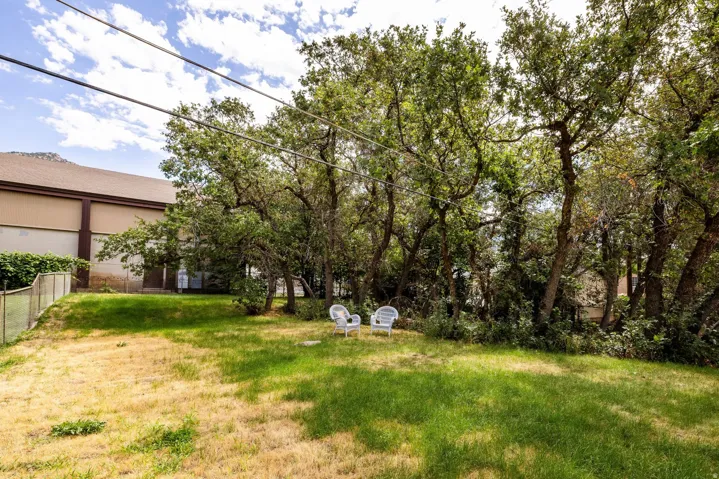Expansive backyard with a mix of established trees, natural vegetation, and varied ground cover