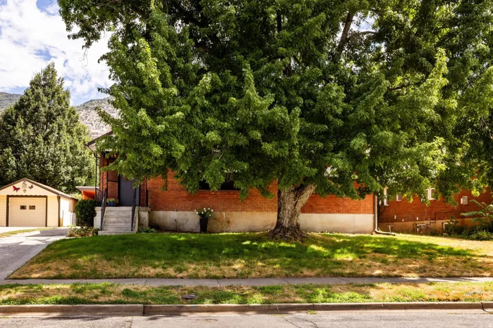 Brick exterior residence with a detached garage, concrete driveway, and mature tree