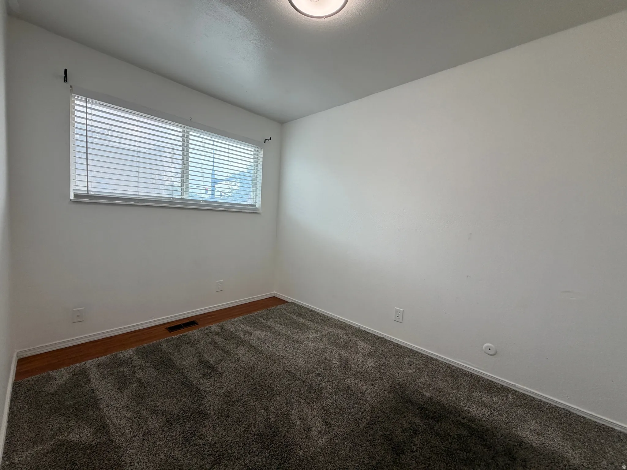 White walls, grey carpet, window with blinds, wood-finish flooring