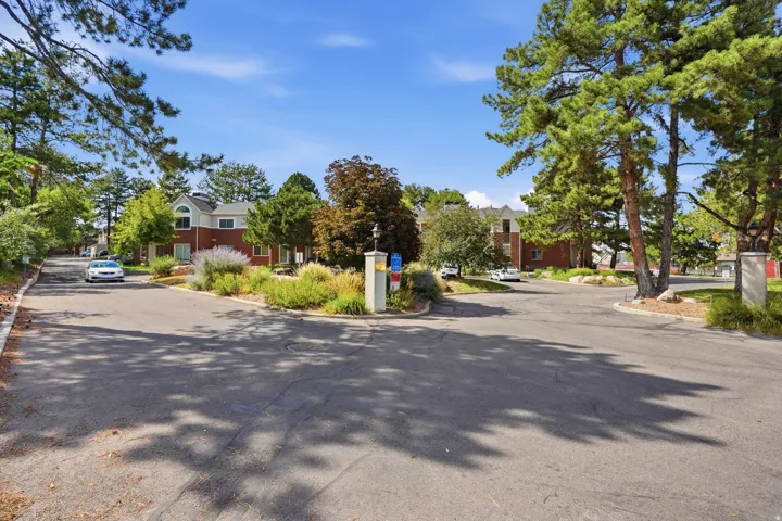 Paved street with mature trees and landscaped islands