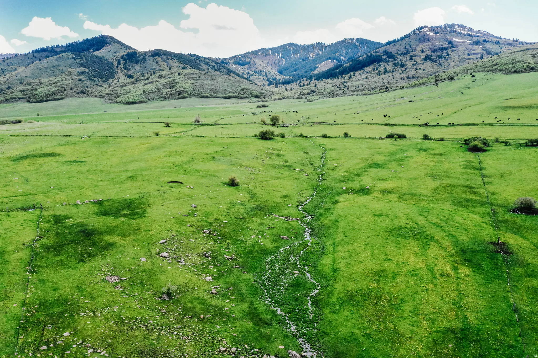 Expansive green landscape with a natural water feature and distant mountains