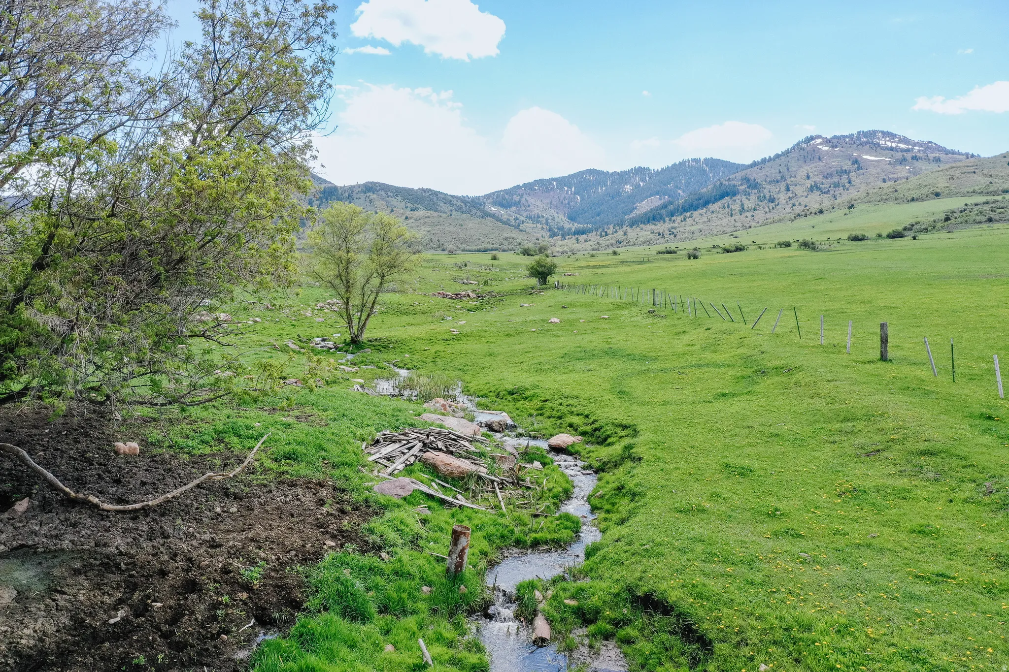 Expansive green pastures with a natural water feature