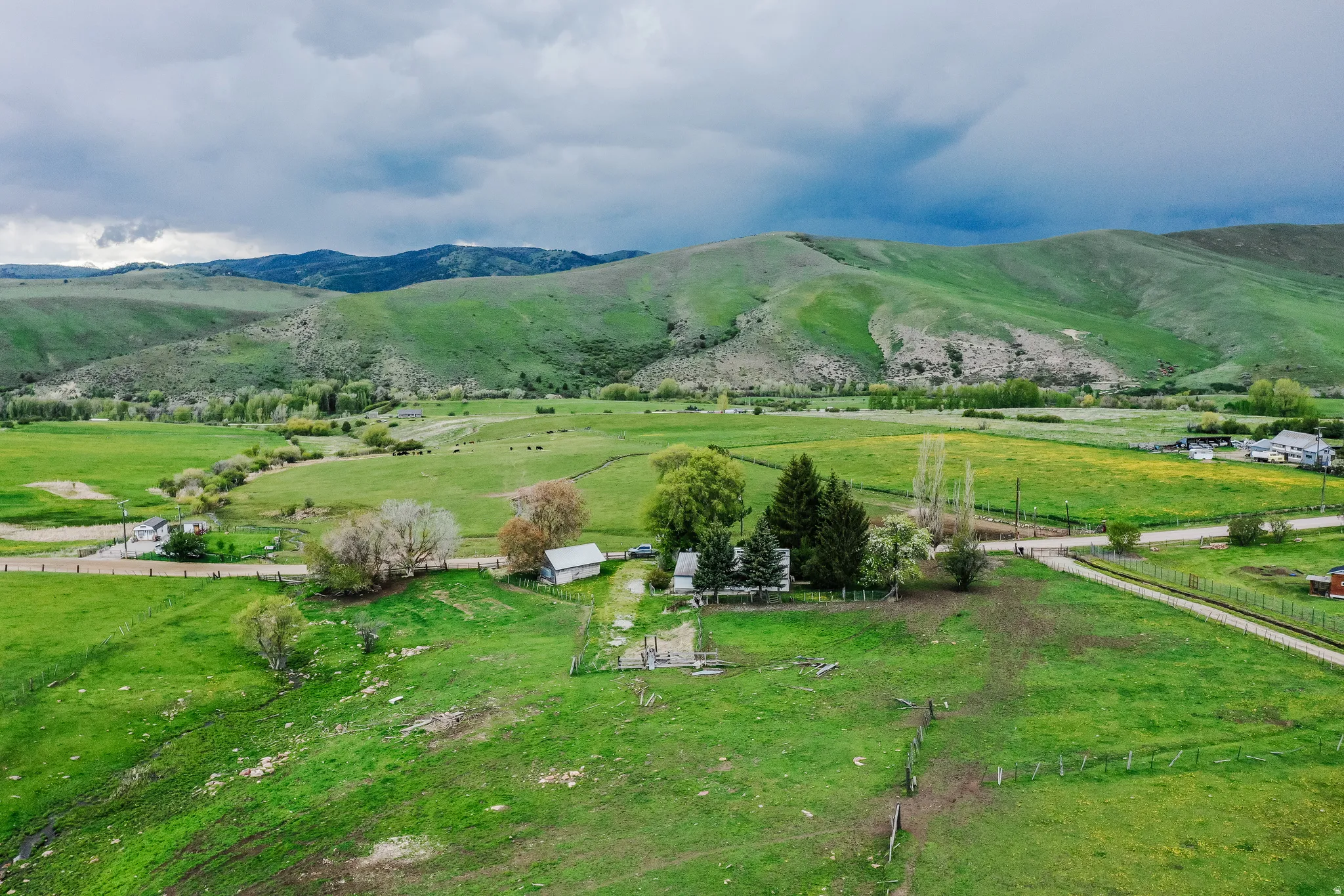 Expansive green landscape with rolling hills and a scattered tree line