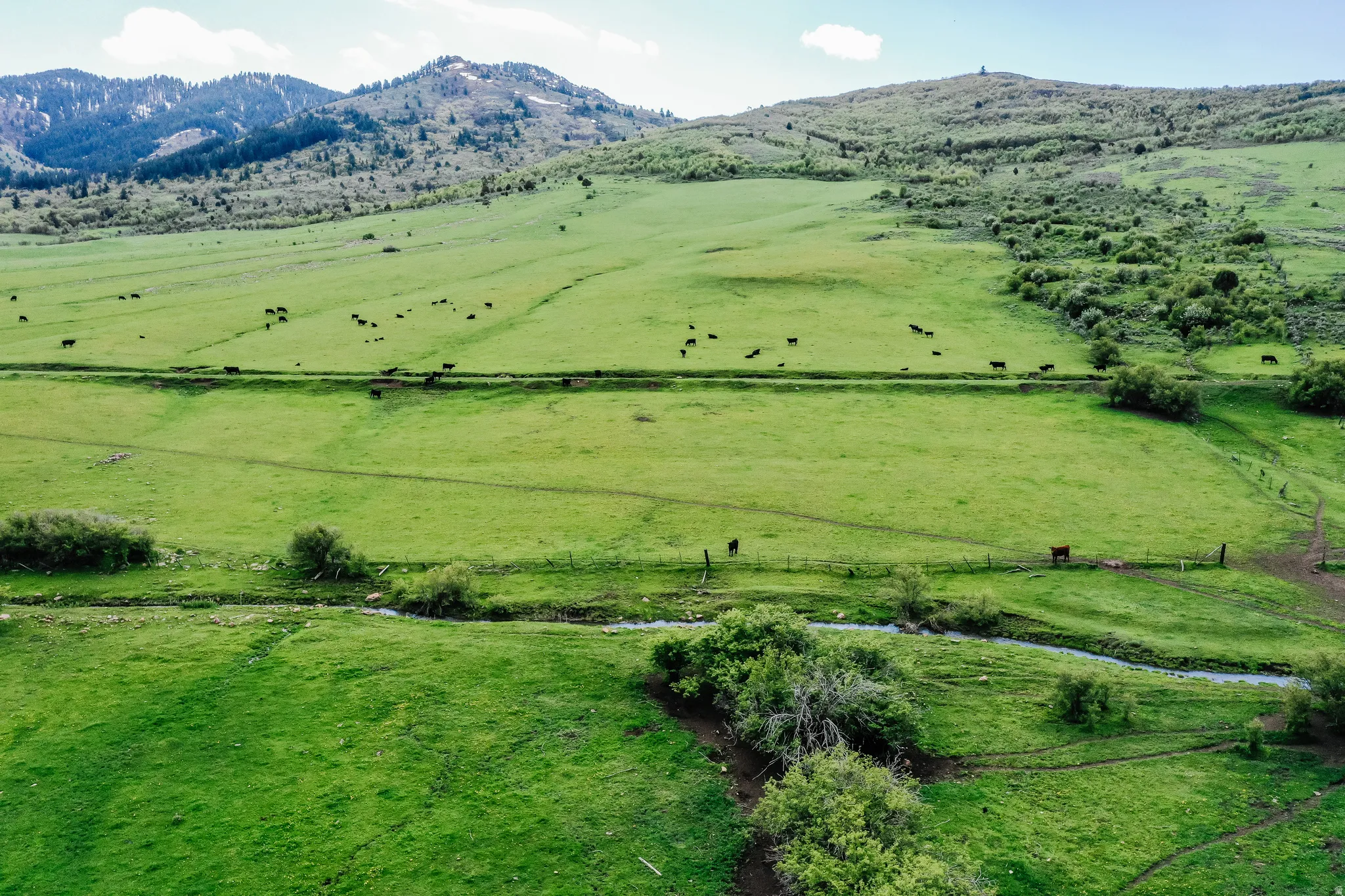 Expansive green pastures and rolling hills