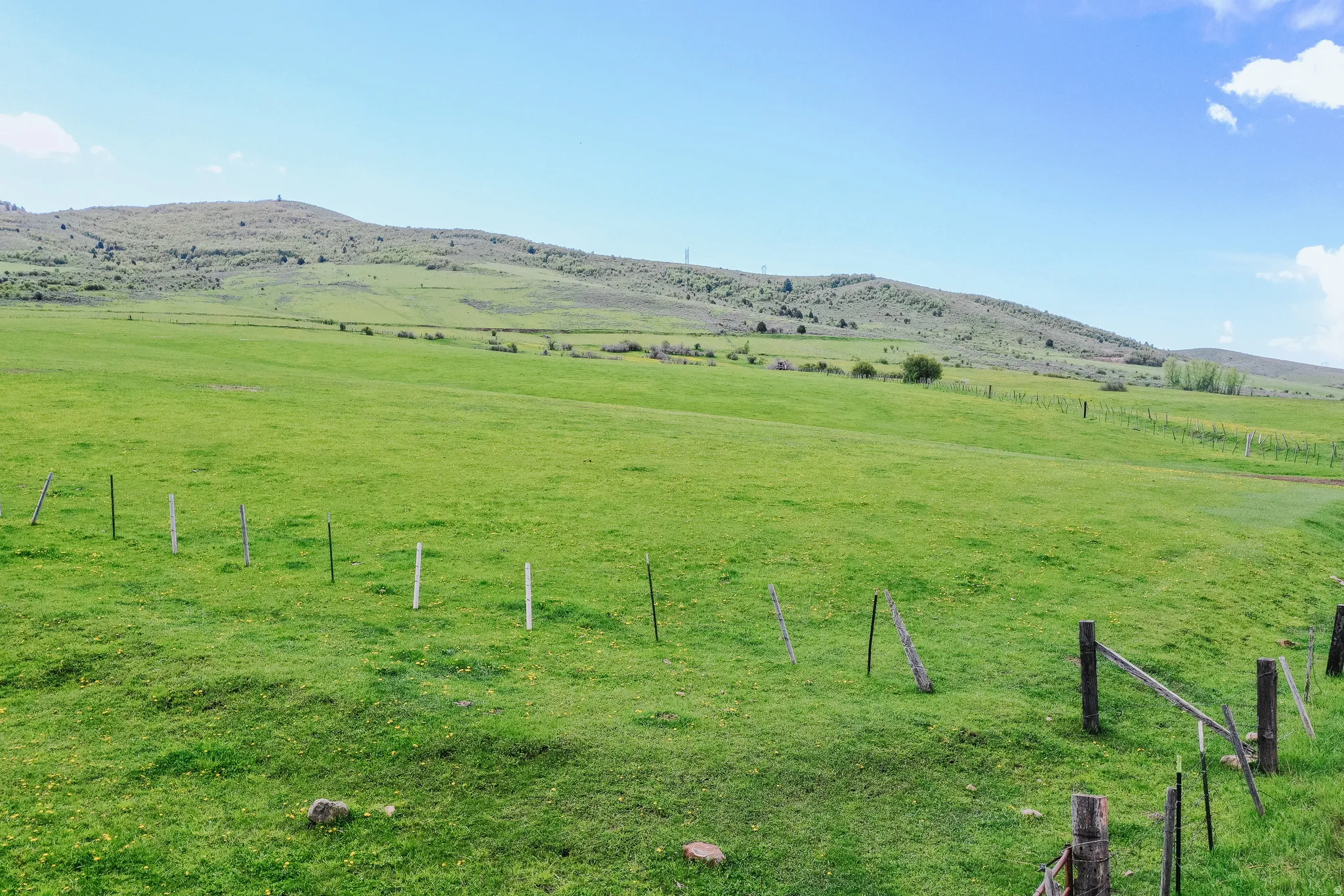 Expansive green pastureland with rolling terrain and distant hills