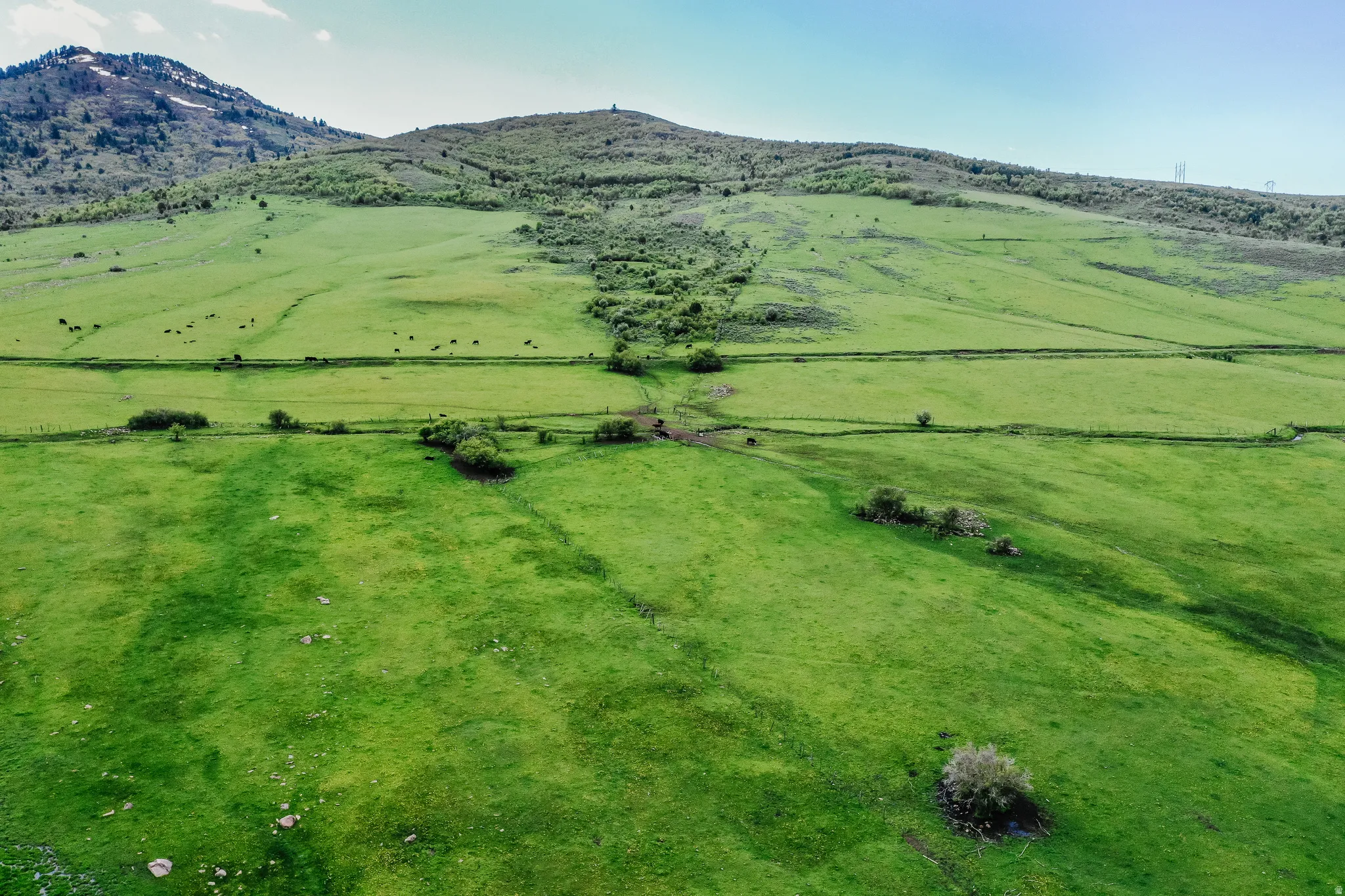 Expansive green landscape featuring rolling hills and distant mountainous terrain