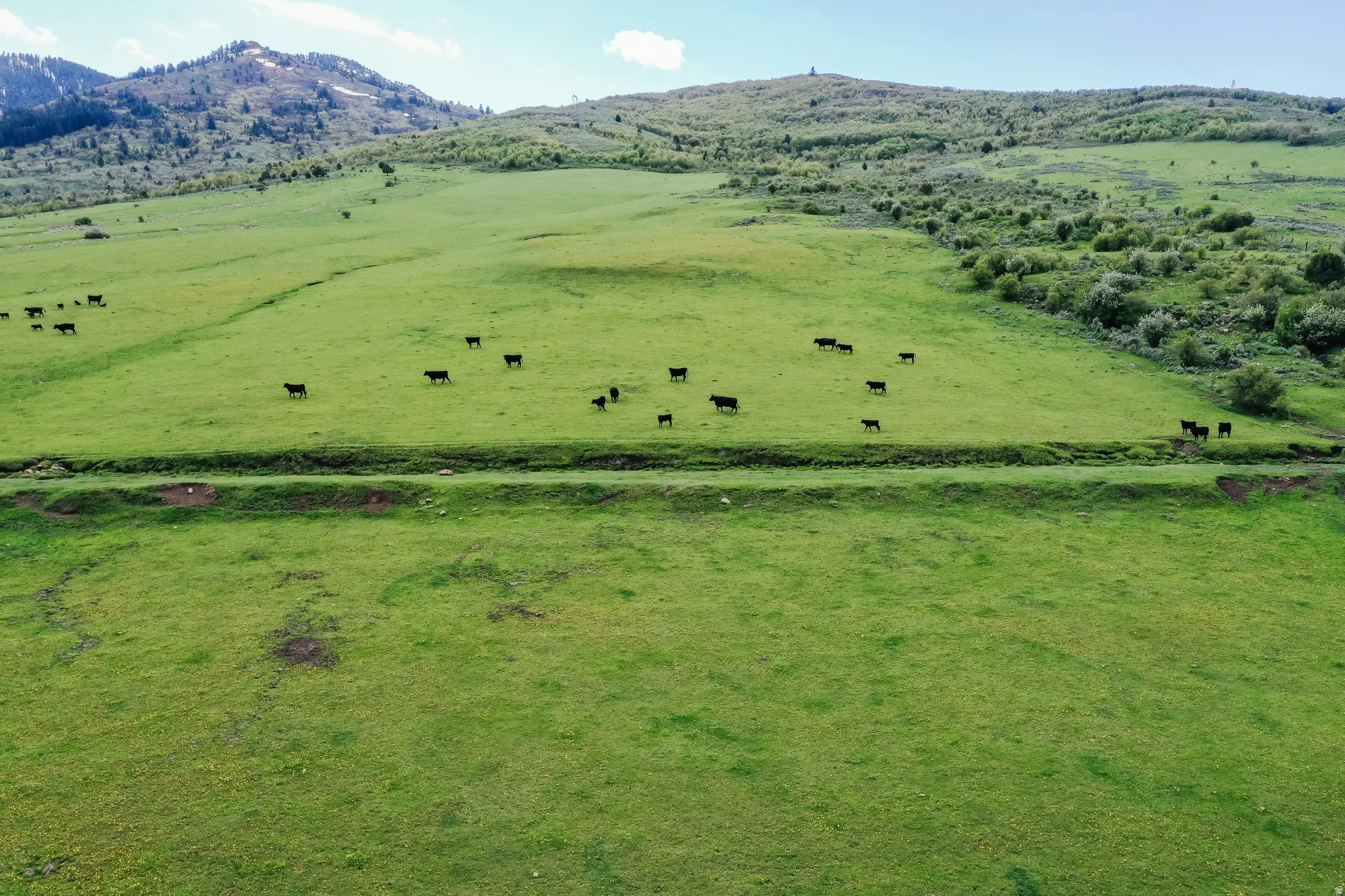 Expansive green pastureland with rolling hills and distant mountainous terrain