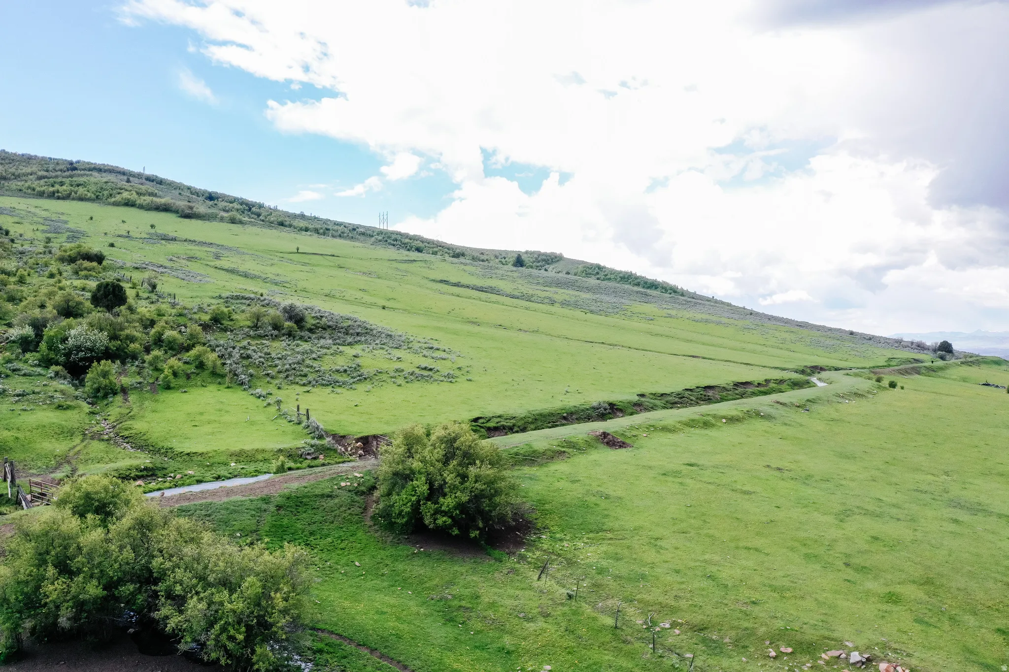 Sloping terrain featuring lush green grass, scattered trees, and a visible pathway