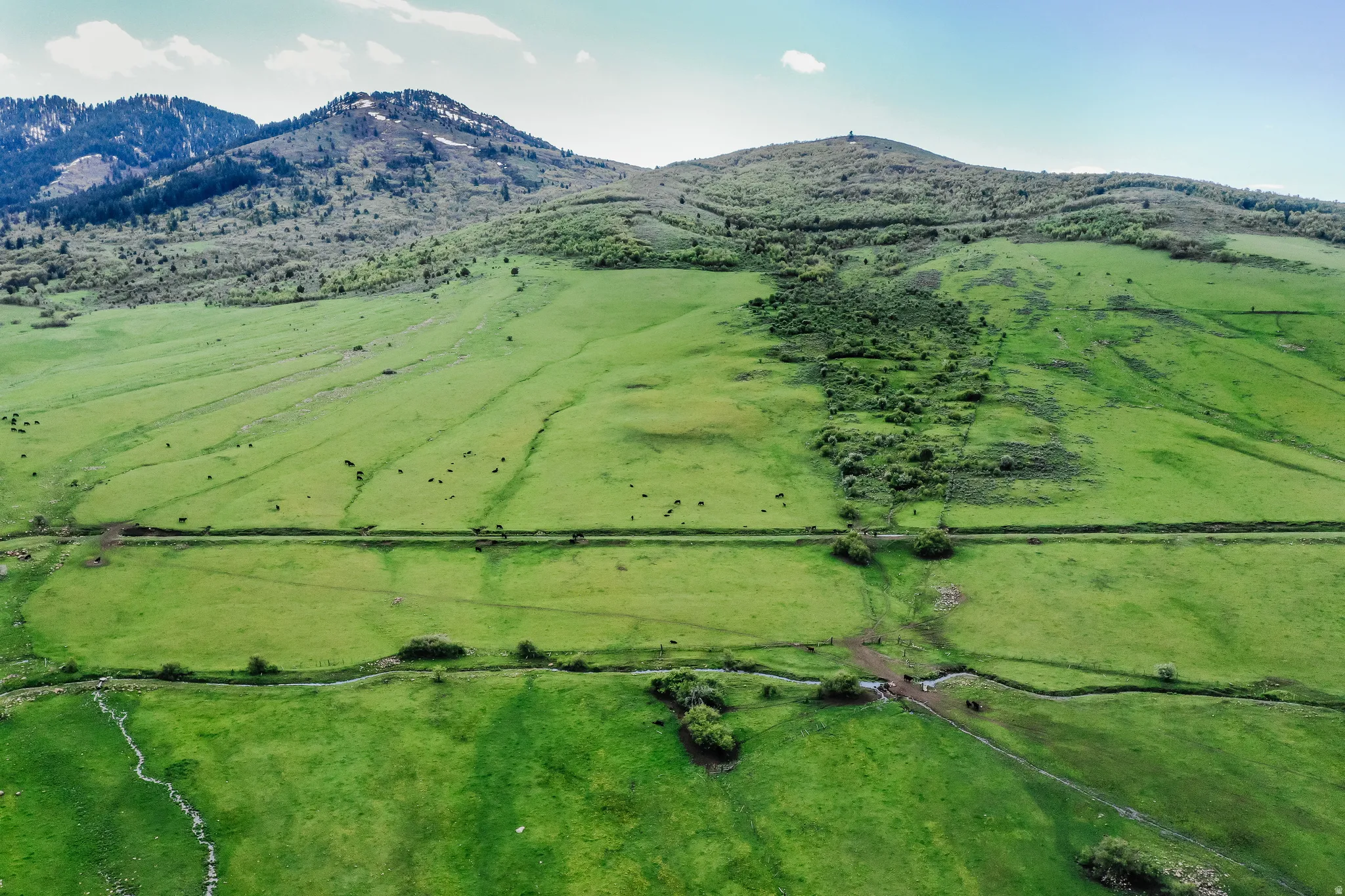 Expansive green landscape featuring rolling hills and distant mountains
