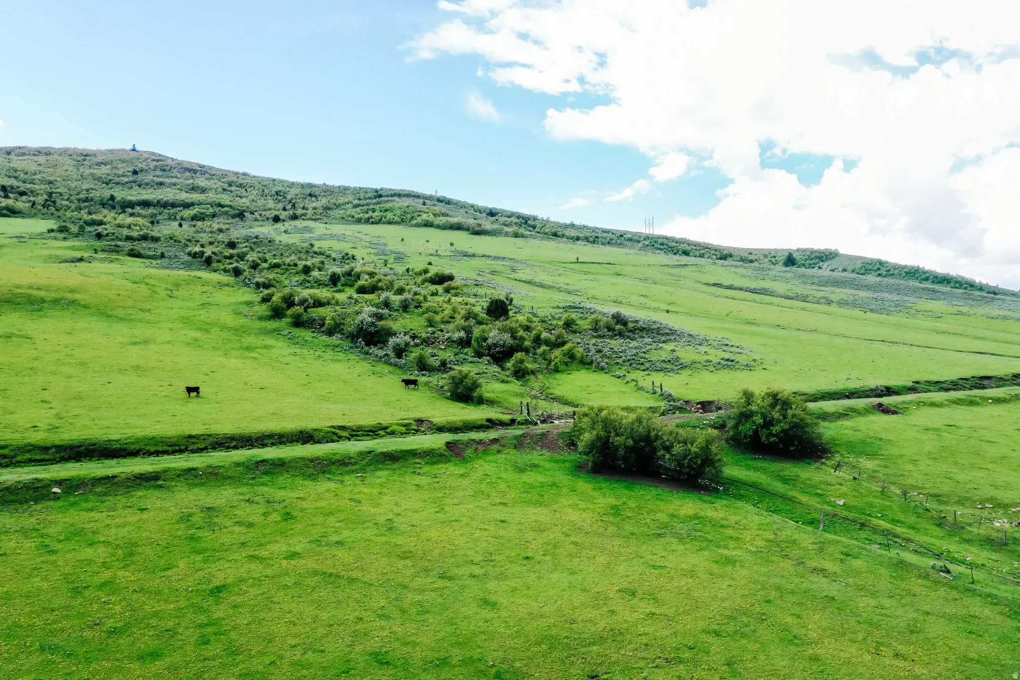 Expansive green hills with natural vegetation