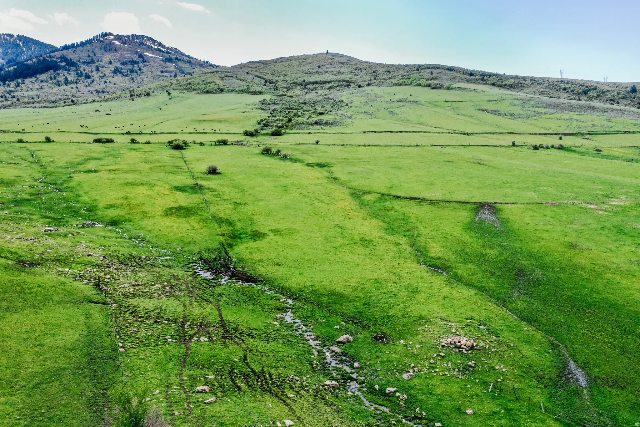 Expansive green fields with natural terrain, distant mountains, and partially snow-capped peaks