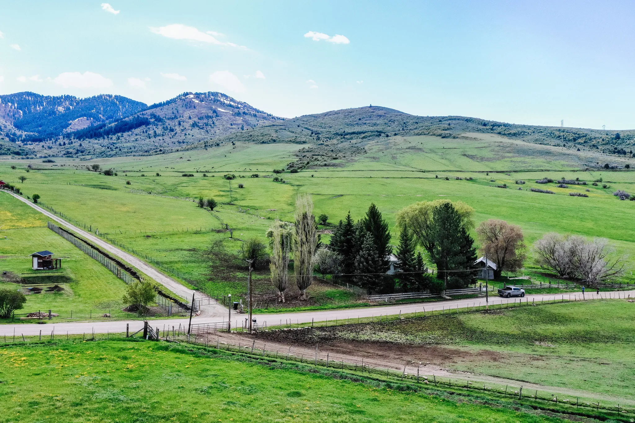 Expansive green landscape with distant mountains, a long private driveway, and mature trees surrounding a residence