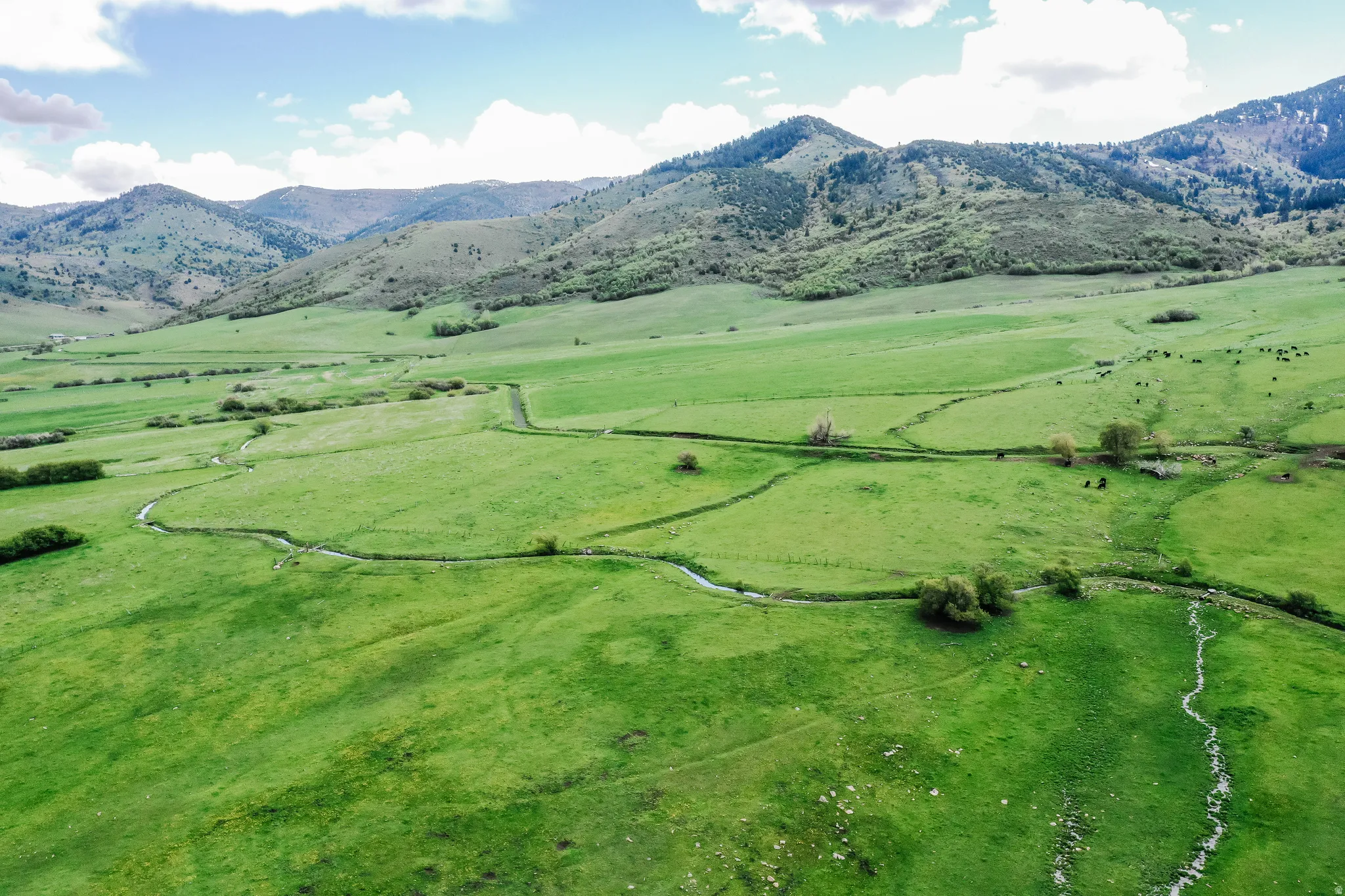 Expansive green pastures with winding natural waterways, surrounded by rolling hills and distant mountains