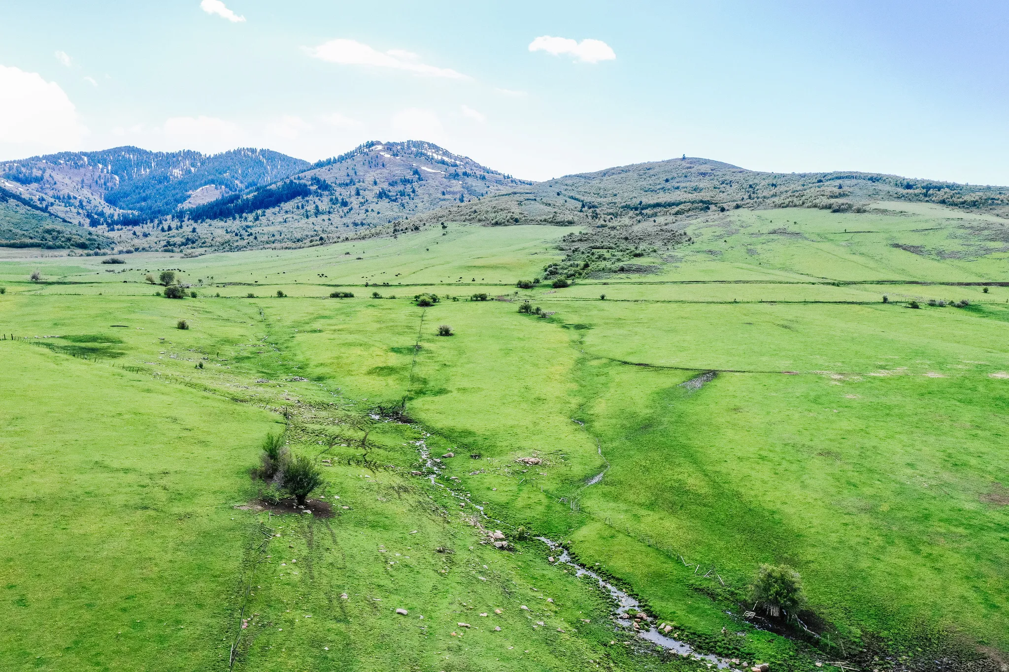 Expansive green landscape with a natural water feature, bordered by foothills and distant mountains