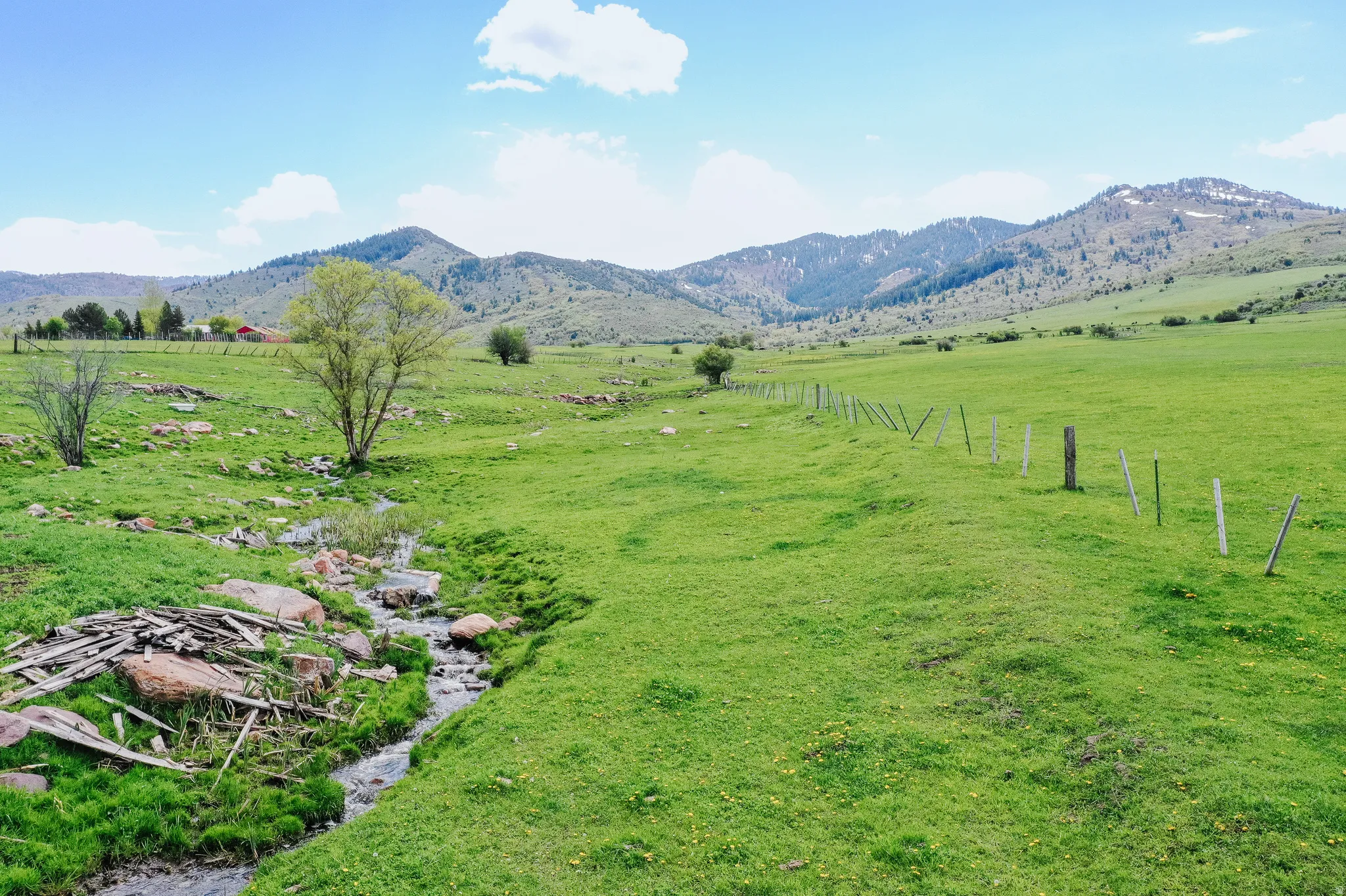 Expansive green landscape with a natural water feature, mature trees, and distant mountains