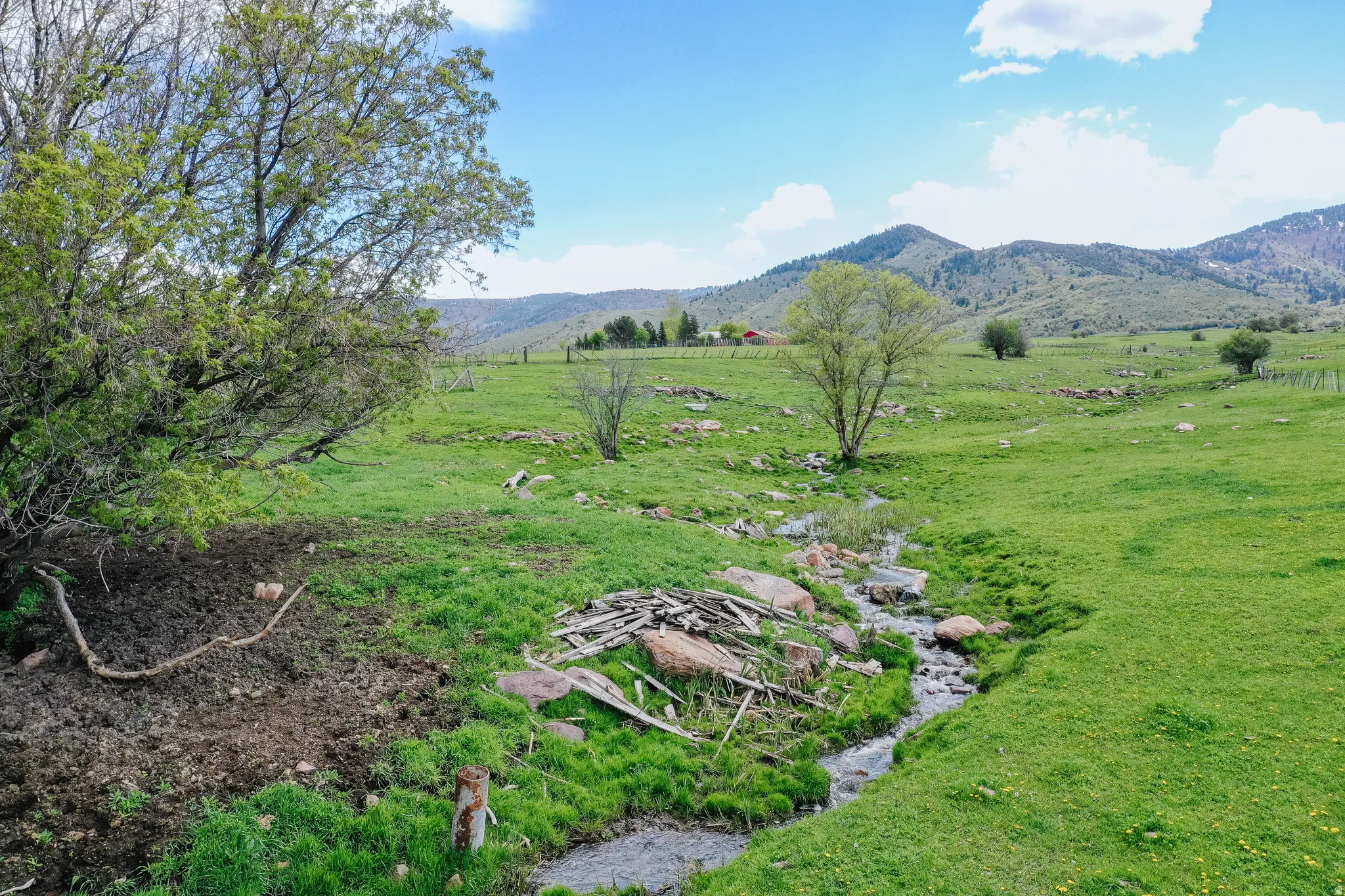 Expansive green landscape with a natural stream and distant mountains