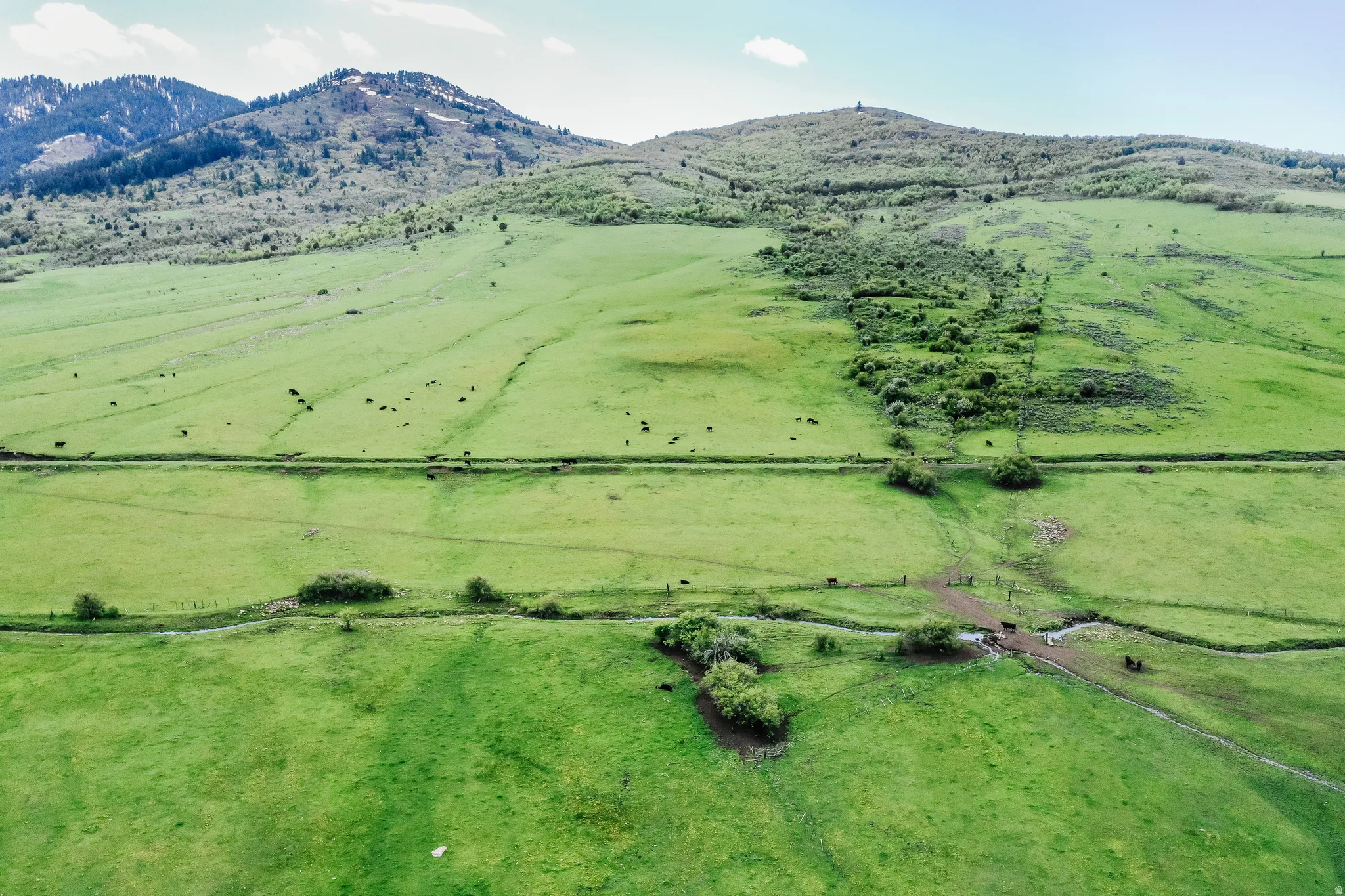 Expansive green terrain with distant mountains, featuring a linear land division and scattered vegetation