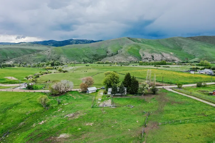 Expansive green landscape with rolling hills and a scattered tree line