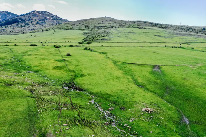 Expansive green fields with natural terrain, distant mountains, and partially snow-capped peaks