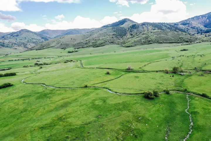 Expansive green pastures with winding natural waterways, surrounded by rolling hills and distant mountains