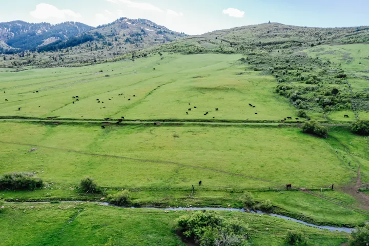 Expansive green pastureland with distant mountain ranges, a meandering stream, and mature natural foliage