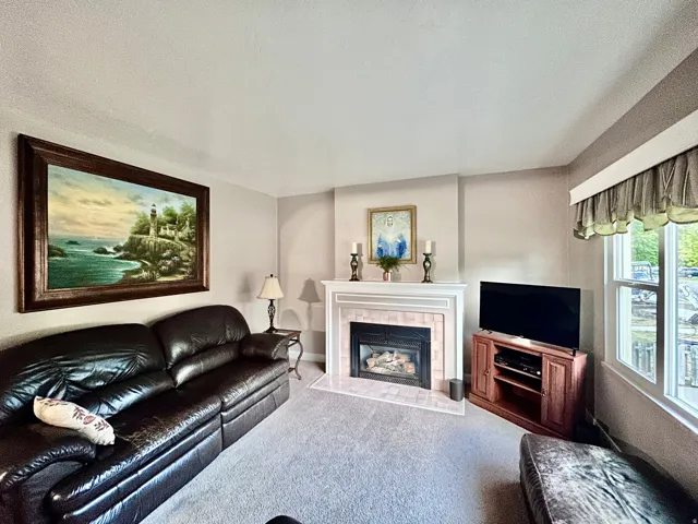 Gas fireplace in the living room