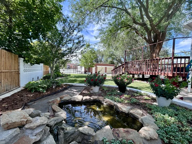 Beautiful water feature/pond