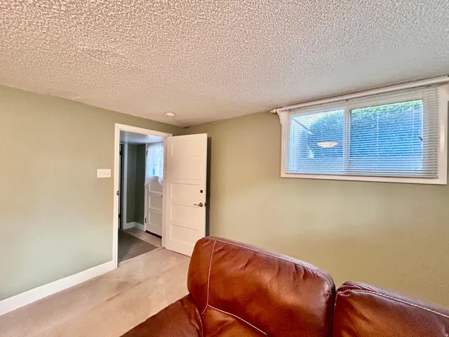 Door for the outside entrance