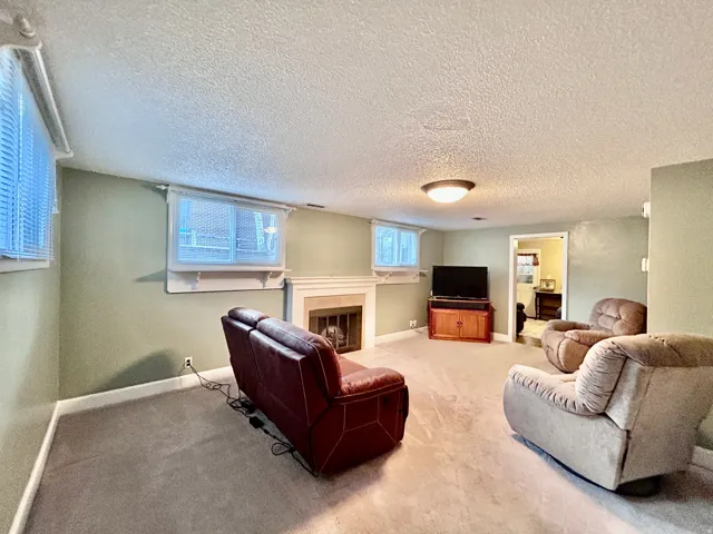 Daylight basement windows that let in the sun!
