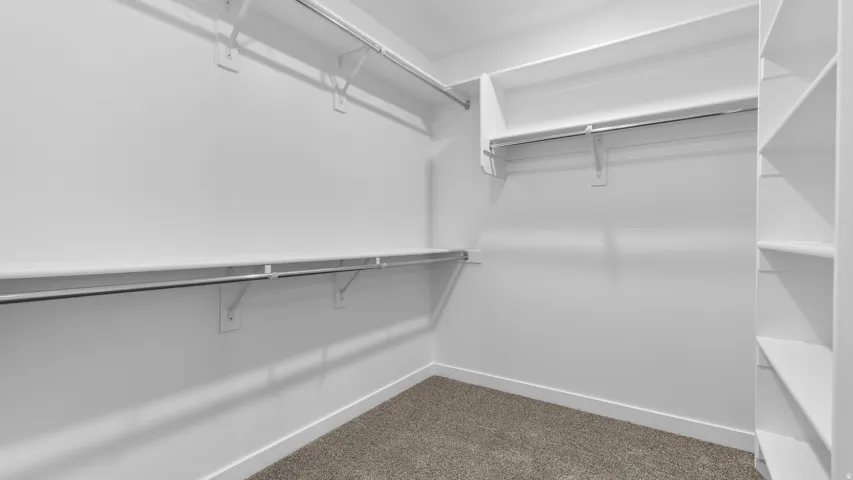 Walk-in closet featuring built-in shelving, white walls, and carpet flooring
