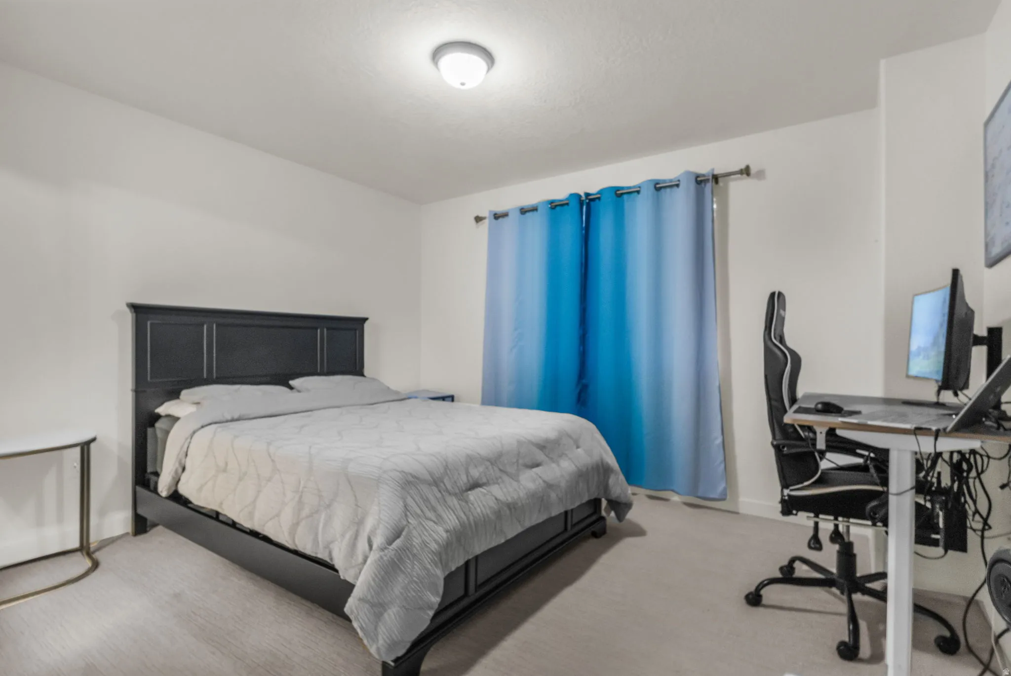 Neutral wall paint and carpeted flooring