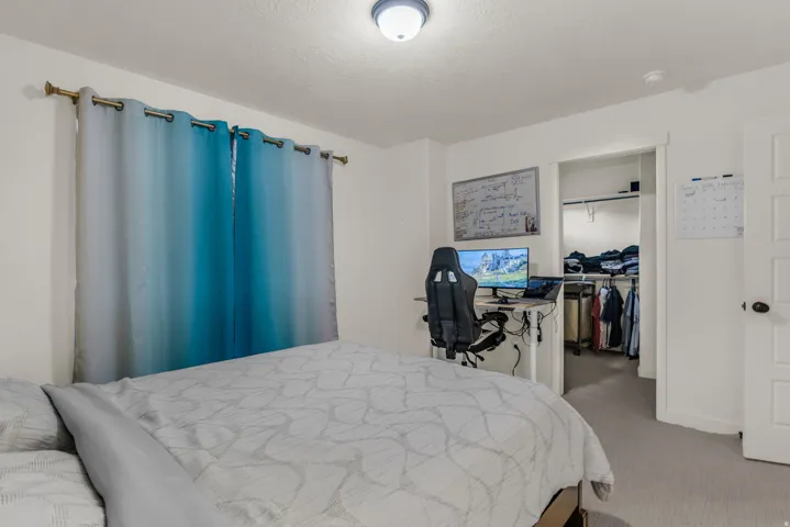 Recessed walk-in closet, flush-mount ceiling light, white paneled door with dark hardware, light gray carpeting, and neutral wall paint
