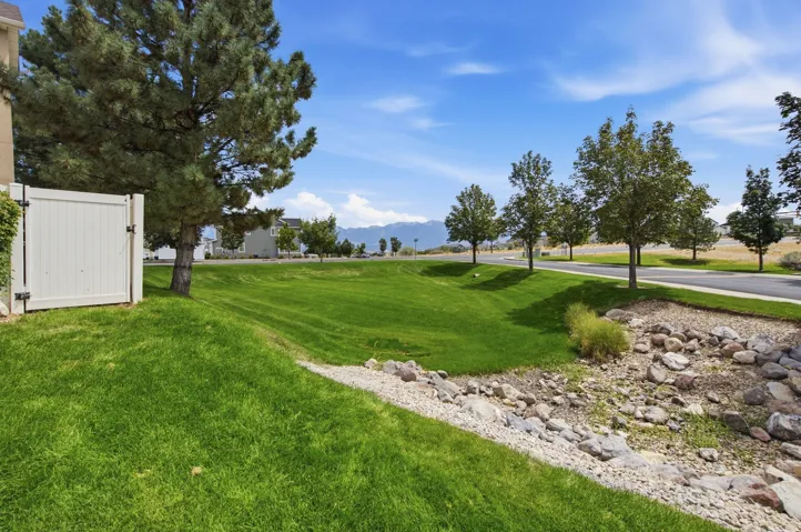 Expansive green space featuring a large evergreen tree, white privacy gate, and a rock-lined drainage area