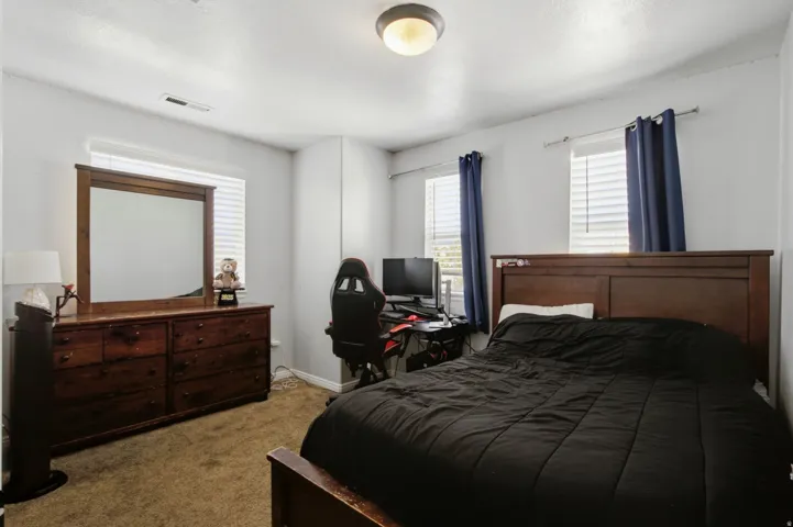 Two windows with blinds, ceiling-mounted light fixture, and carpeted flooring