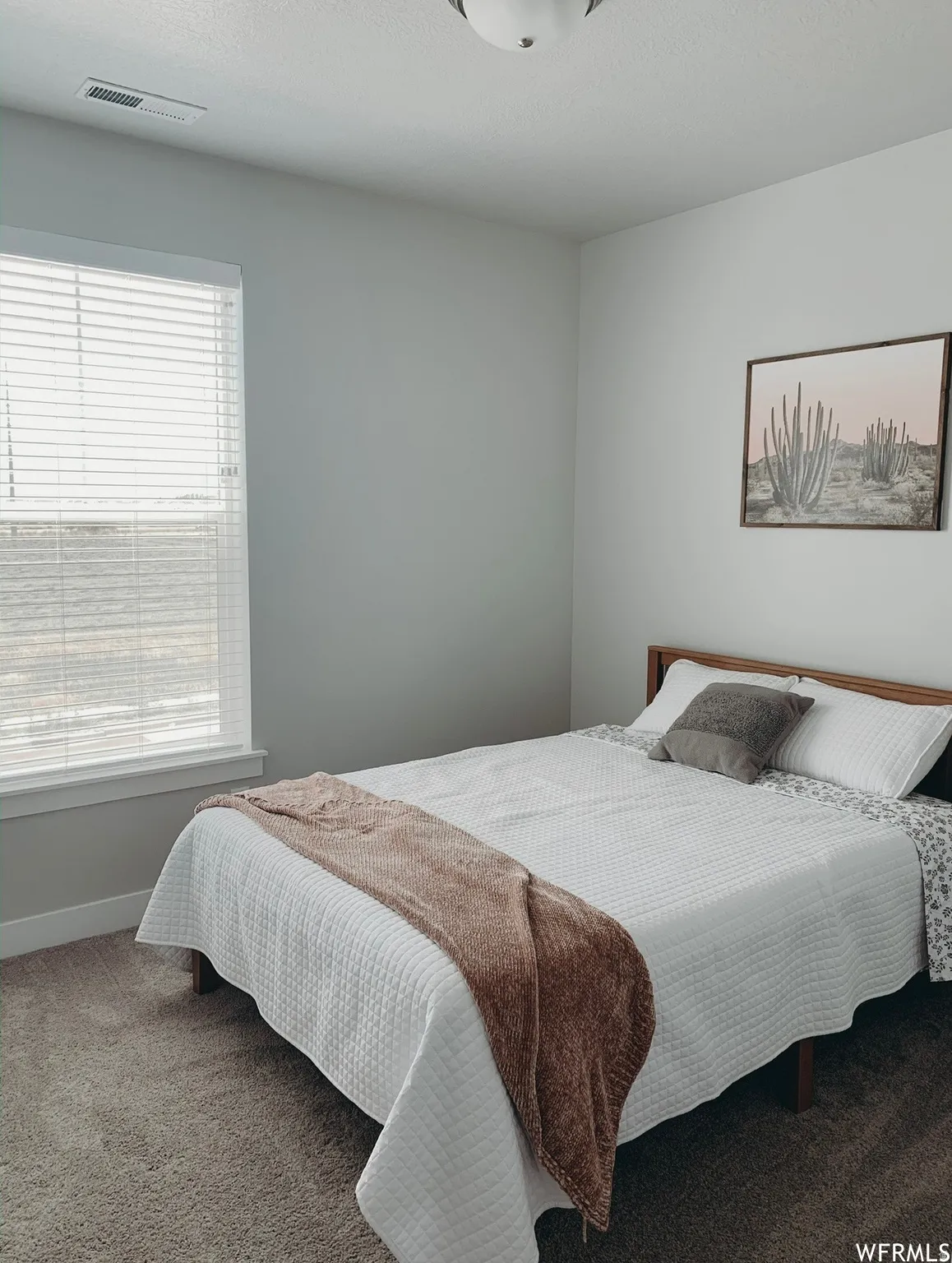 Textured carpet flooring, window with blinds, ceiling-mounted light fixture, and neutral wall tones
