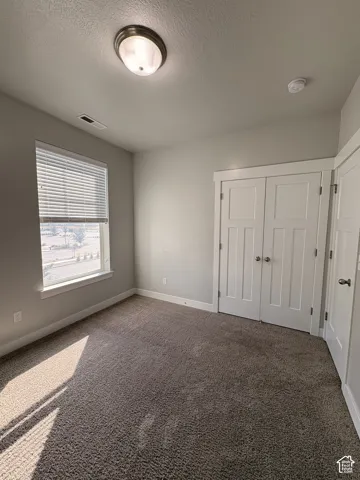 Plush carpet flooring, neutral paint palette, bright window with blinds, panel closet doors, and a ceiling-mounted light fixture