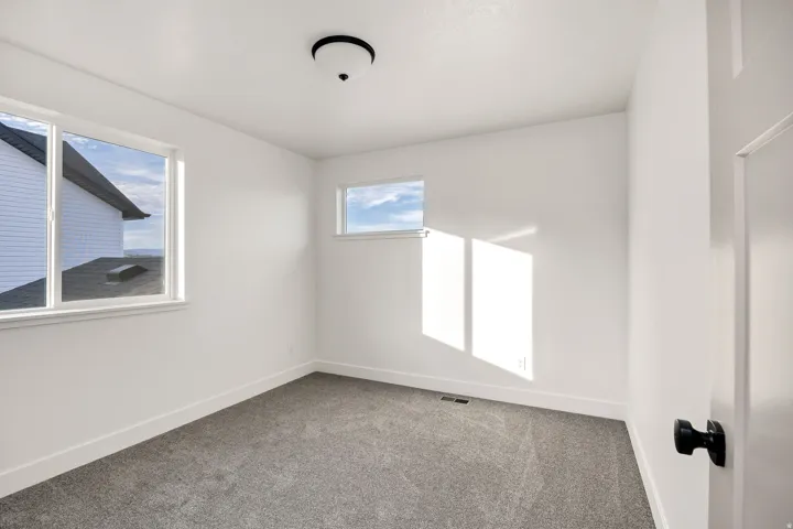 Neutral wall color, carpet flooring, multiple windows, flush mount ceiling fixture, and a paneled door