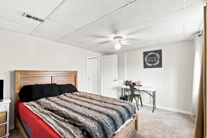 Neutral wall paint, textured ceiling panels, ceiling fan, and carpeted flooring